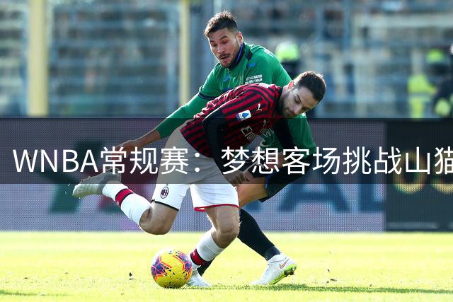 WNBA常规赛：梦想客场挑战山猫